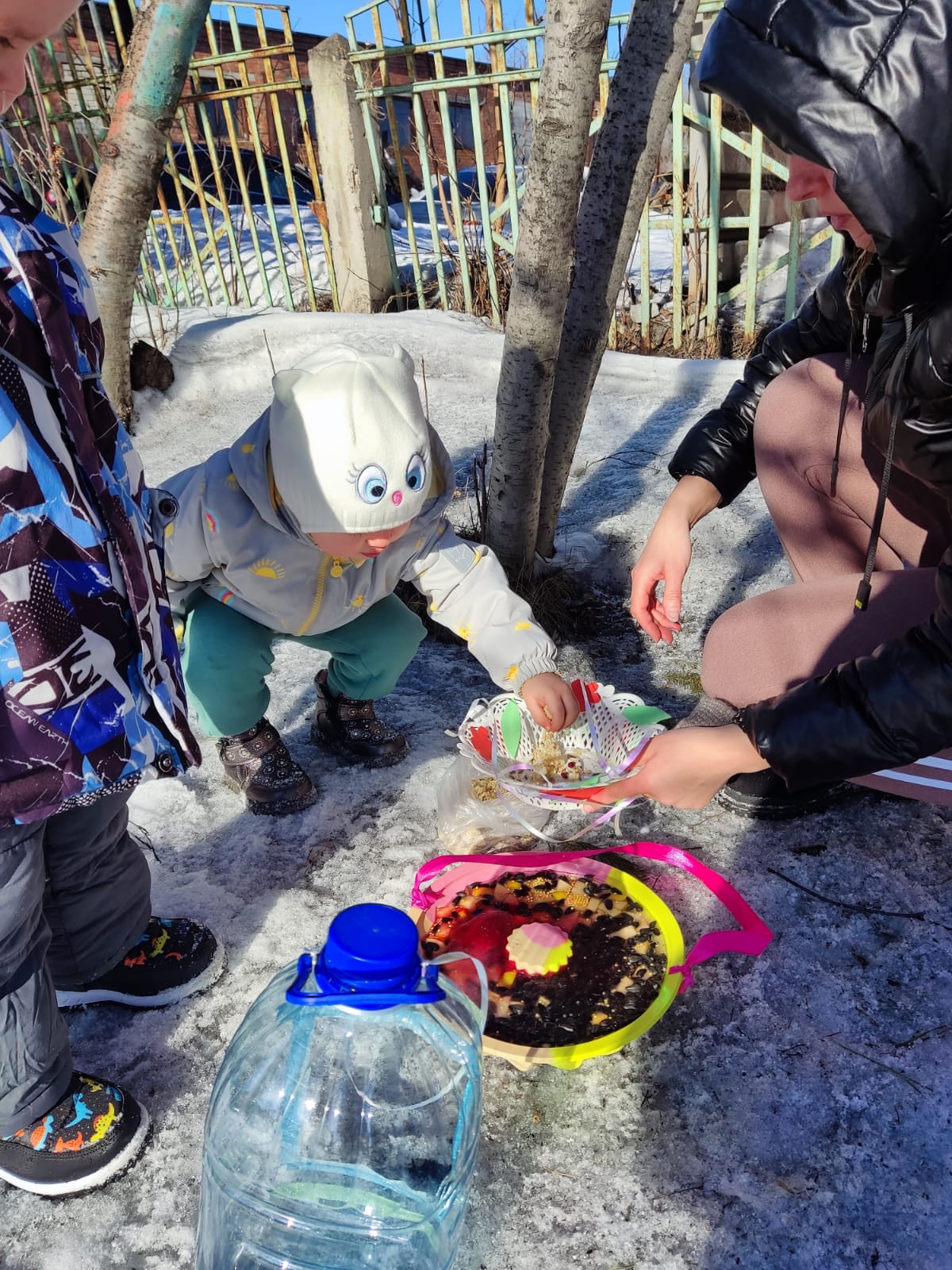 1712809461667.jpg