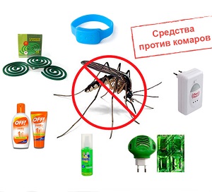 komar.jpg